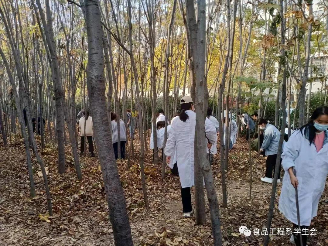 清掃學(xué)院垃圾，營造美好校園(圖2)