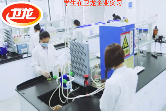 學(xué)生在衛(wèi)龍企業(yè)實(shí)習(xí)6.png